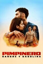 Pimpinero: Sangre y Gasolina (2024) ล่าแค้นแดนน้ำมันเถื่อน