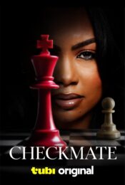 checkmate (2025)