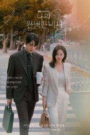 Love Scout (2025) รับจ้างจัดหารัก Season 1