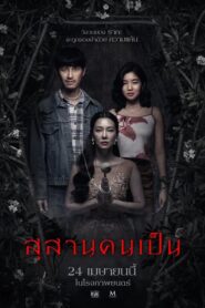 Tomb Watcher (2025) สุสานคนเป็น