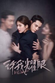 Love’s Ambition (2025) เกมรักในเงาลวง Season 1