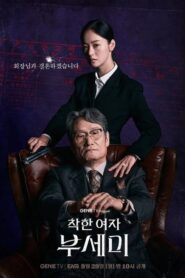 Ms.Incognito (2025) ภารกิจลับบอดี้การ์ดสาว Season 1
