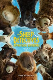 The Sheep Detectives (2026) แก๊งแกะรอย ยอดนักสืบ