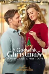 A Godwink Christmas: Second Chance, First Love (2020) ปาฏิหาริย์คริสต์มาส รักครั้งใหม่หัวใจเดิม