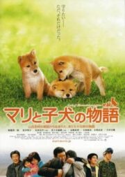 A Tale of Mari and Three Puppies (2007) เพื่อนซื่อ ชื่อ มาริ