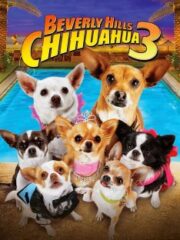 BEVERLY HILLS CHIHUAHUA 3 VIVA LA FIESTA (2012) คุณหมาไฮโซ โกบ้านนอก ภาค 3