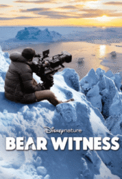 Bear Witness (2022)