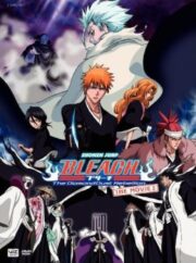 Bleach The Movie 2 The Diamond Dust Rebellion บลีชเทพมรณะ เดอะมูฟวี่ 2 อีกหนึ่งตัวตนของ เฮียวรินมารุ
