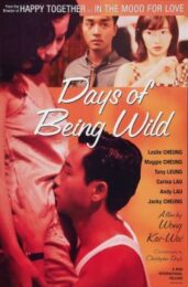 Days of Being Wild (1990) วันที่หัวใจรักกล้าตัดขอบฟ้า