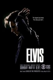 Elvis & Nixon (2016) เอลวิส พบ นิกสัน