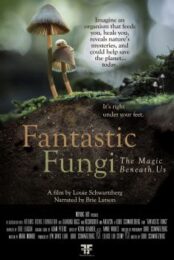 Fantastic Fungi (2019) เห็ดมหัศจรรย์