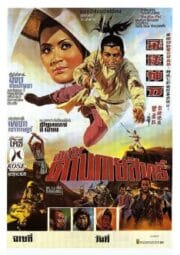 Flyer & Magic Sword (1971) อัศวินดาบกายสิทธิ์