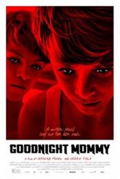 Goodnight Mommy (2014)