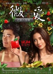 Love on the Cloud (Wei ai zhi jian ru jia jing) (2014) รสรักร้อยกลีบเมฆ