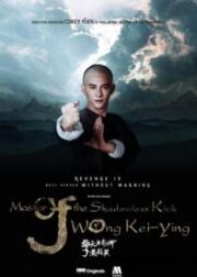 Master Of The Shadowless Kick Wong Kei-Ying (2016) ยอดยุทธ พ่อหนุ่มไร้เงา