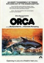 Orca The Killer Whale (1977) ออร์ก้า ปลาวาฬเพชฌฆาต