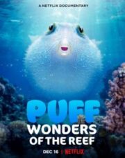 Puff: Wonders of the Reef (2021) พัฟฟ์ มหัศจรรย์แห่งปะการัง