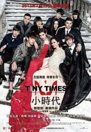 Tiny Times 1.0 (2013)