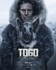 Togo (2019) หมาป่า โตโก